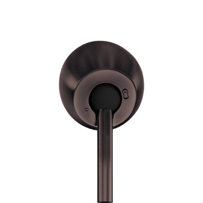 Atlas Cathedral Ceiling Mount in Brushed Bronze.