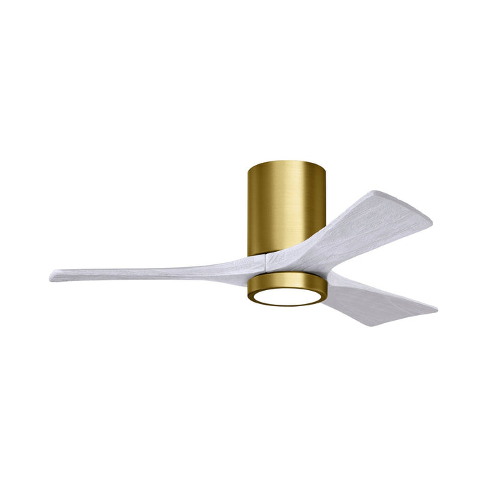 Irene IR3HLK 42-Inch Indoor / Outdoor LED Flush Mount Ceiling Fan in Brushed Brass/Matte White.