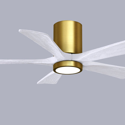 Irene IR5HLK 42-Inch Indoor / Outdoor LED Flush Mount Ceiling Fan in Detail.