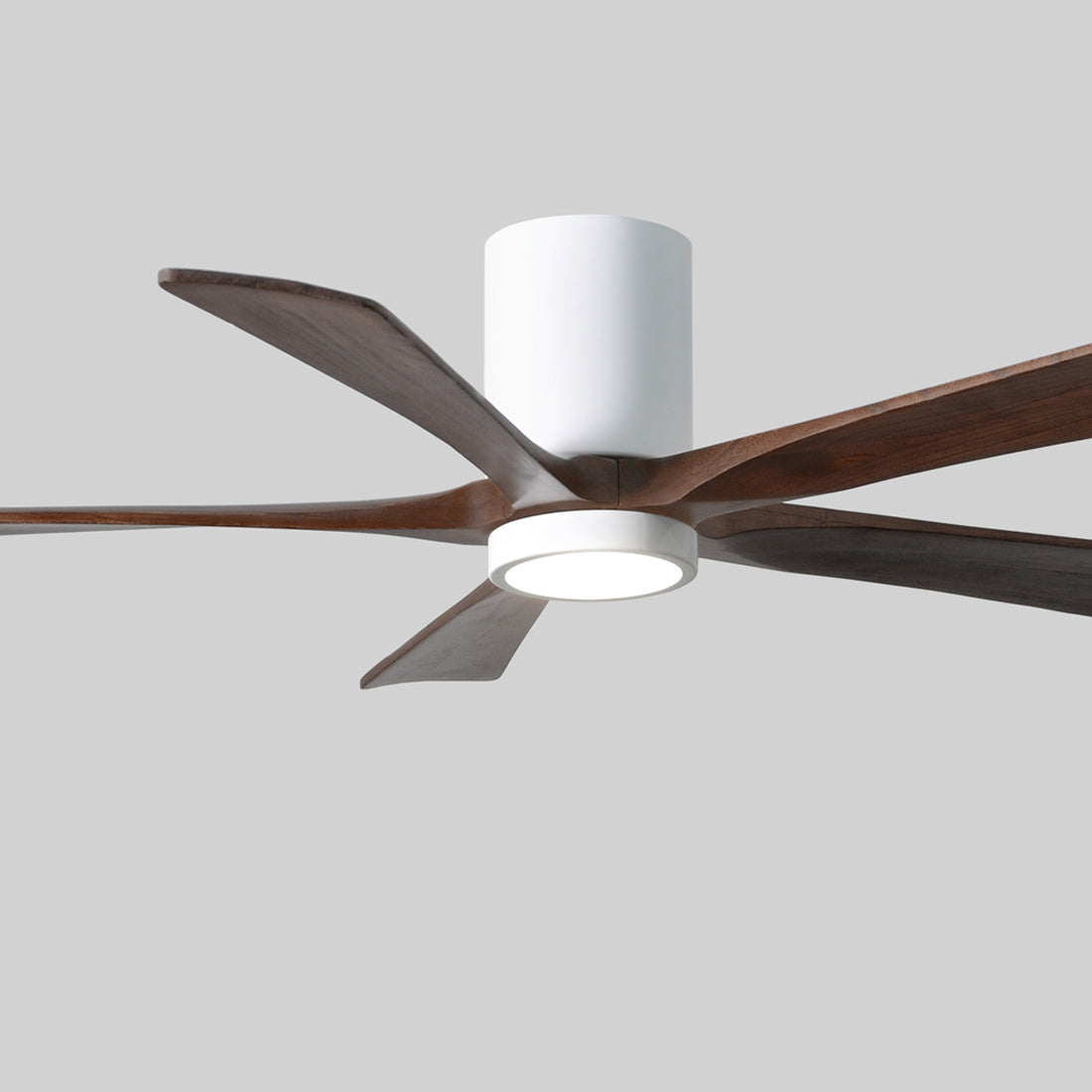 Irene IR5HLK 52-Inch Indoor / Outdoor LED Flush Mount Ceiling Fan in Detail.