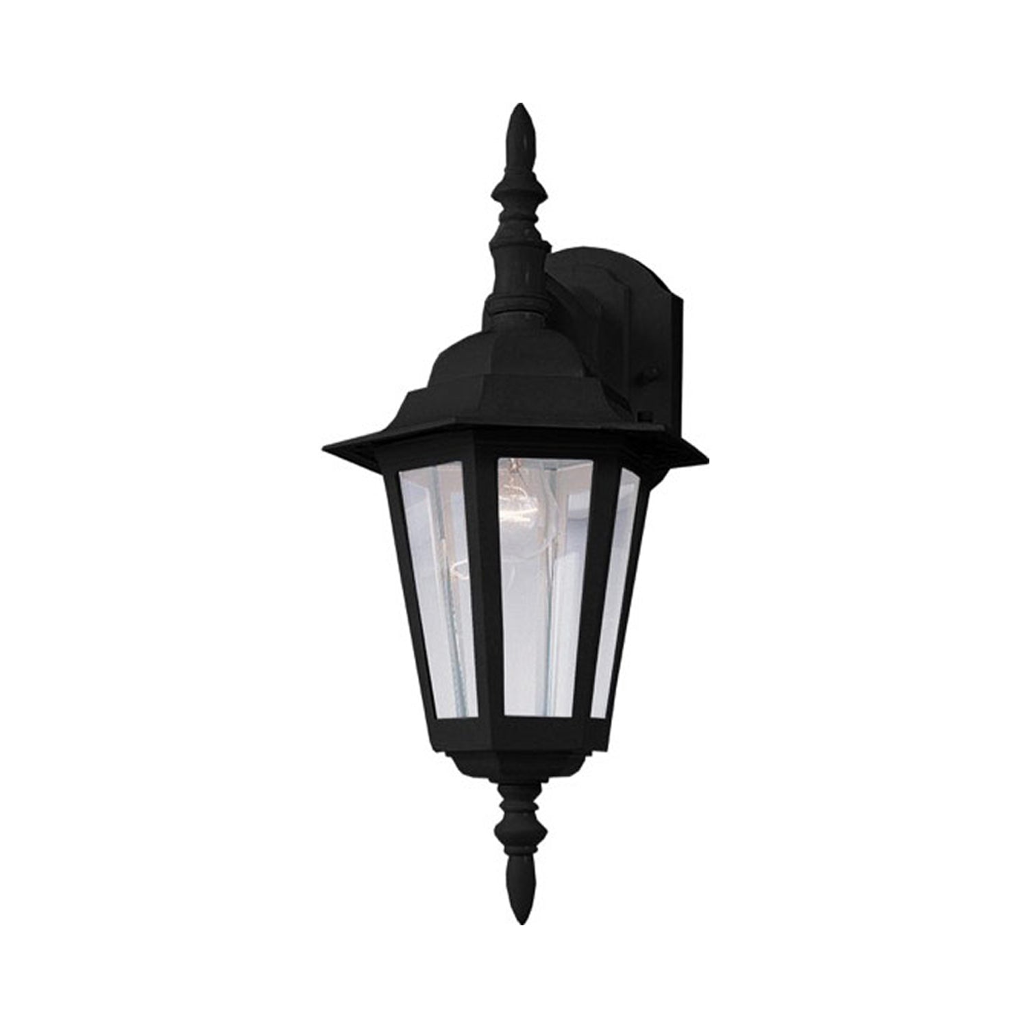 Builder Outdoor Clear Glass Wall Light in Black (14.75-Inch/Down)