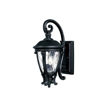 Camden Outdoor Wall Light in Black (19-Inch).