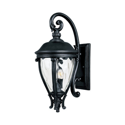 Camden Outdoor Wall Light in Black (29-Inch).