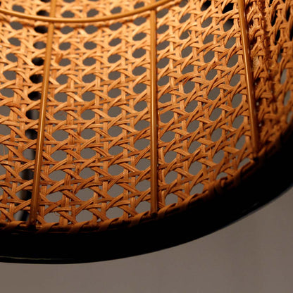 Cane Pendant Light in Detail.