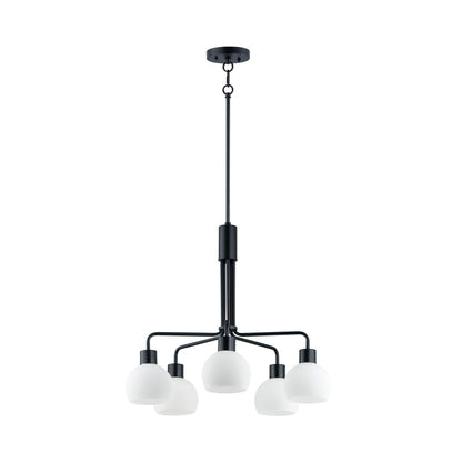 Coraline Chandelier.