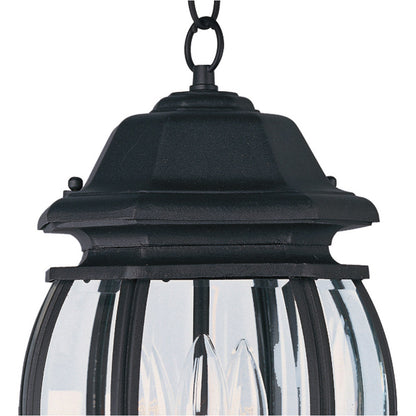 Crown Hill Outdoor Pendant Light in Detail.