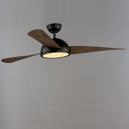 Cupola LED Ceiling Fan in Detail.