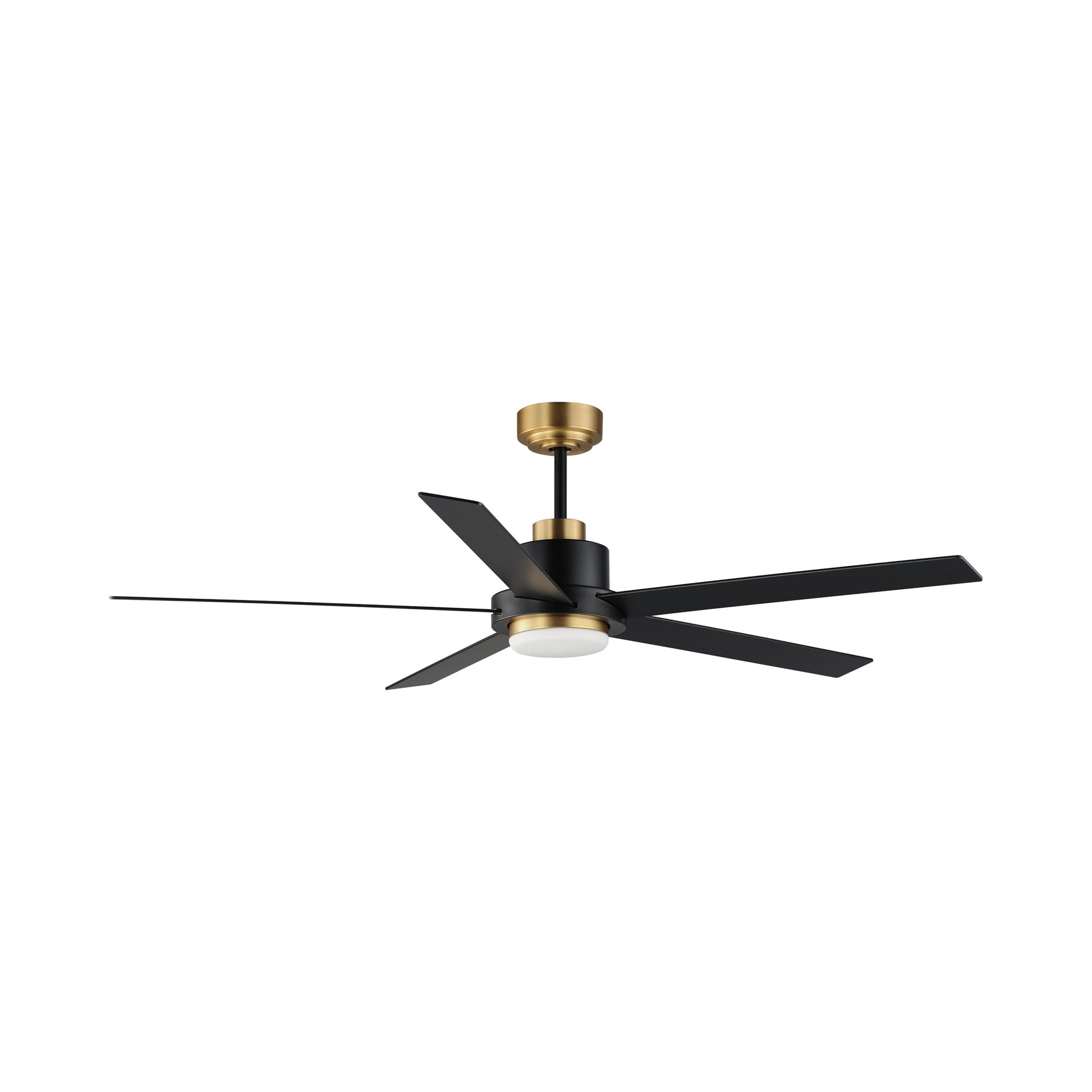 Daisy LED Ceiling Fan in Black/Gold.
