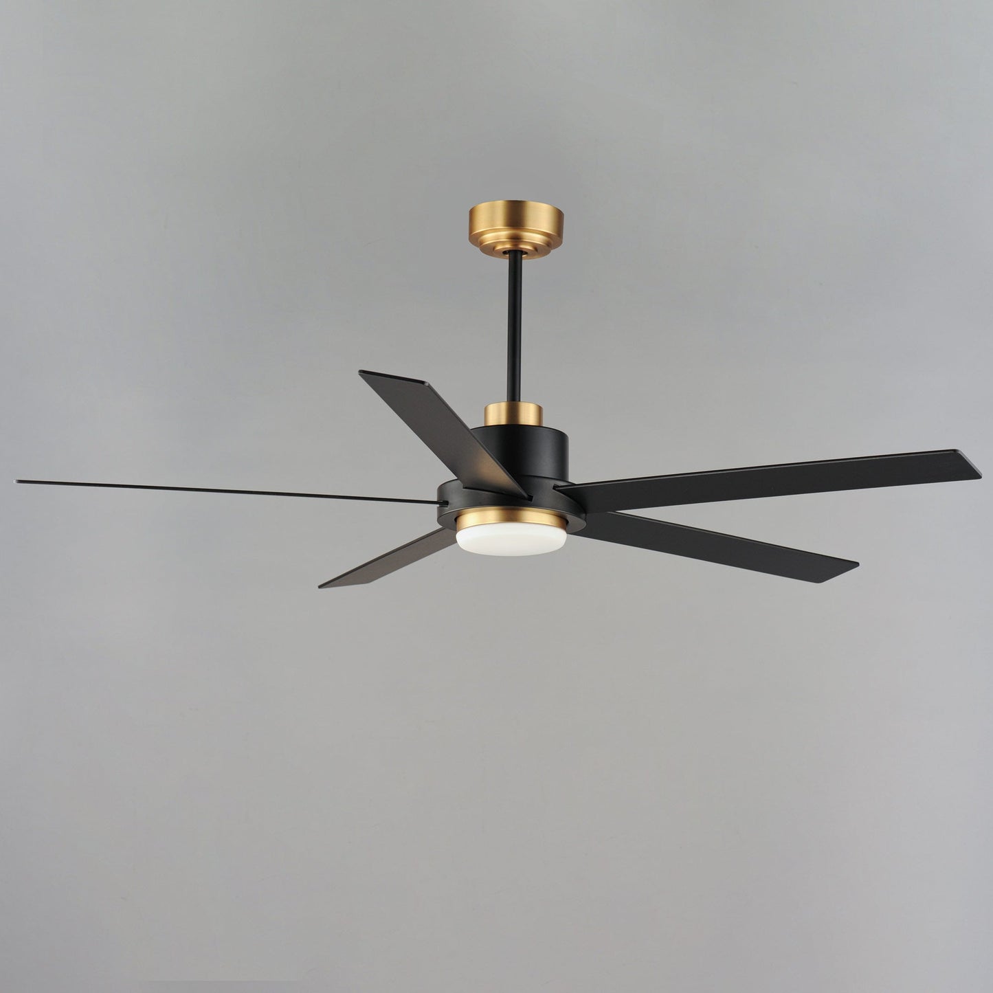 Daisy LED Ceiling Fan in Detail.