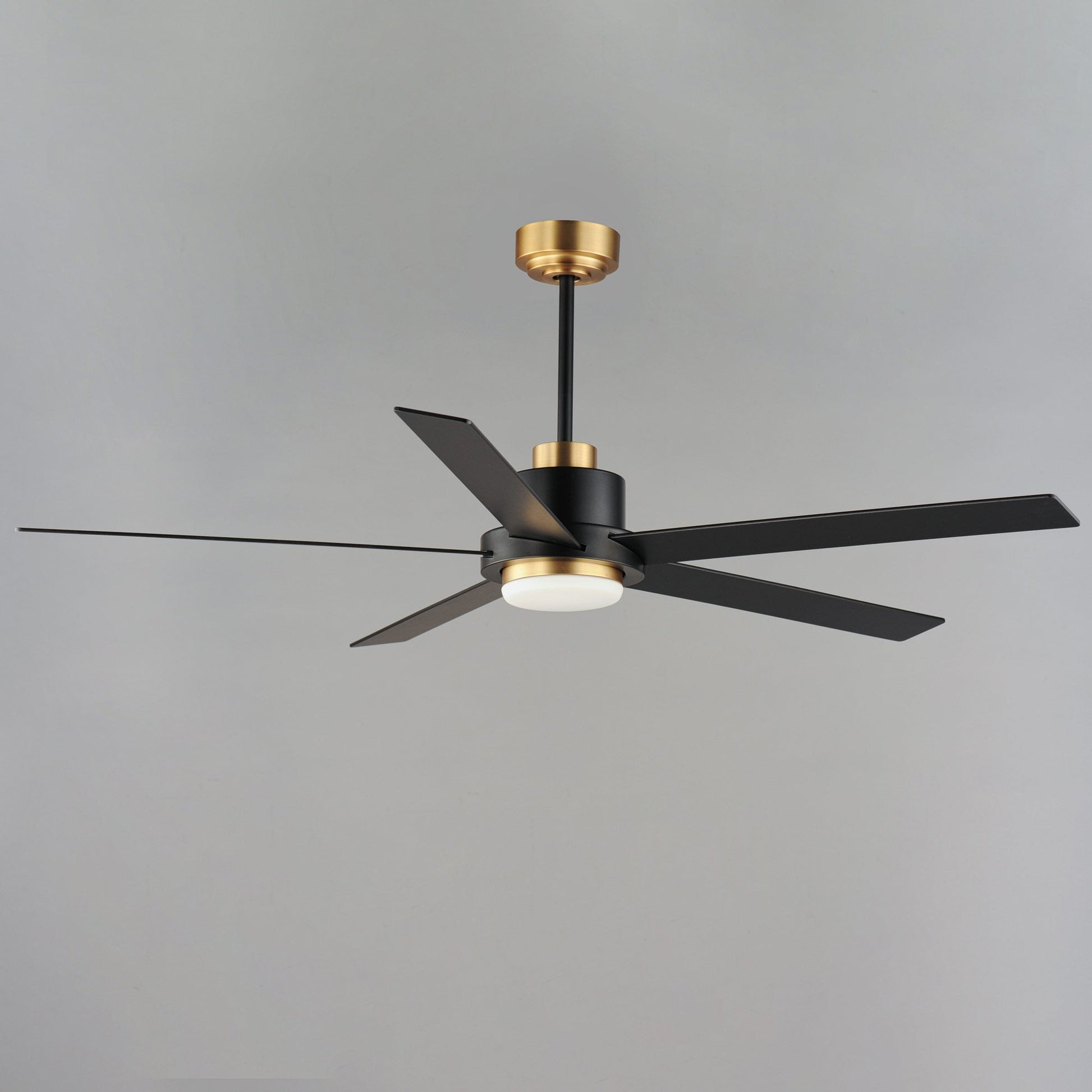 Daisy LED Ceiling Fan in Detail.