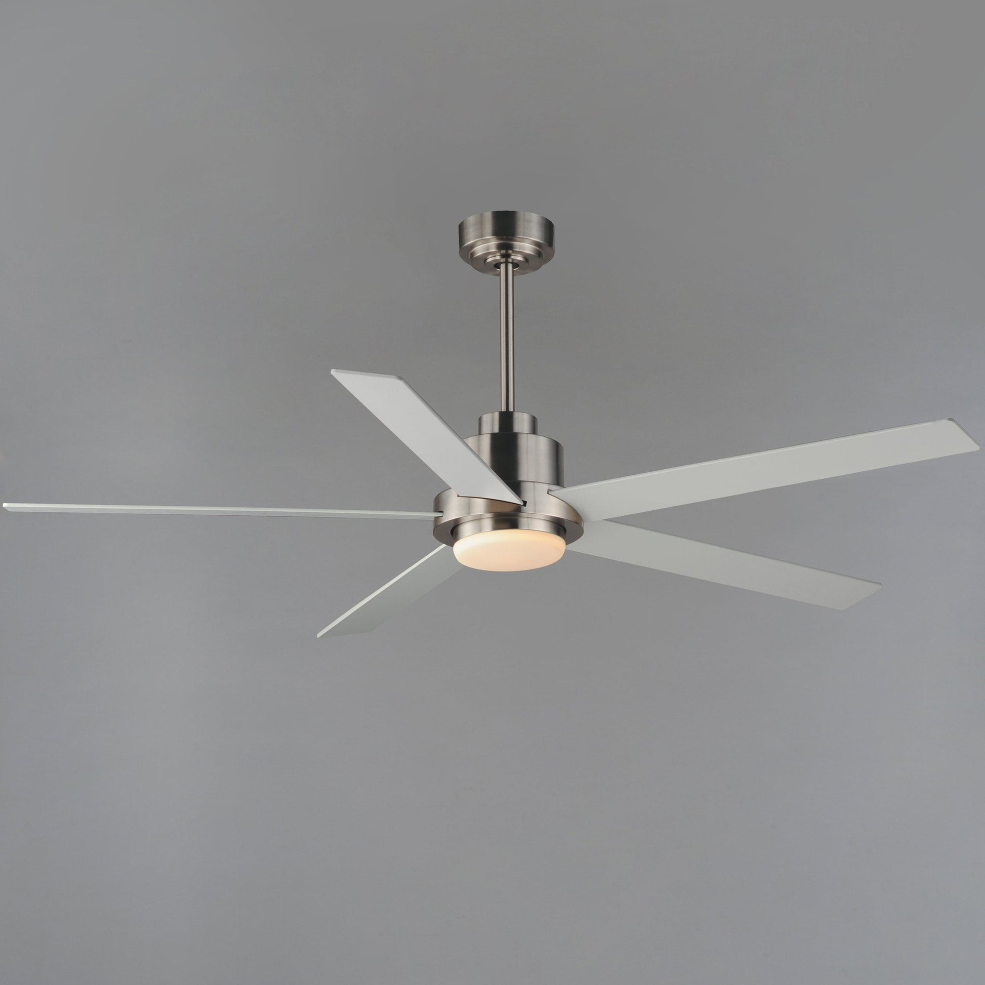 Daisy LED Ceiling Fan in Detail.