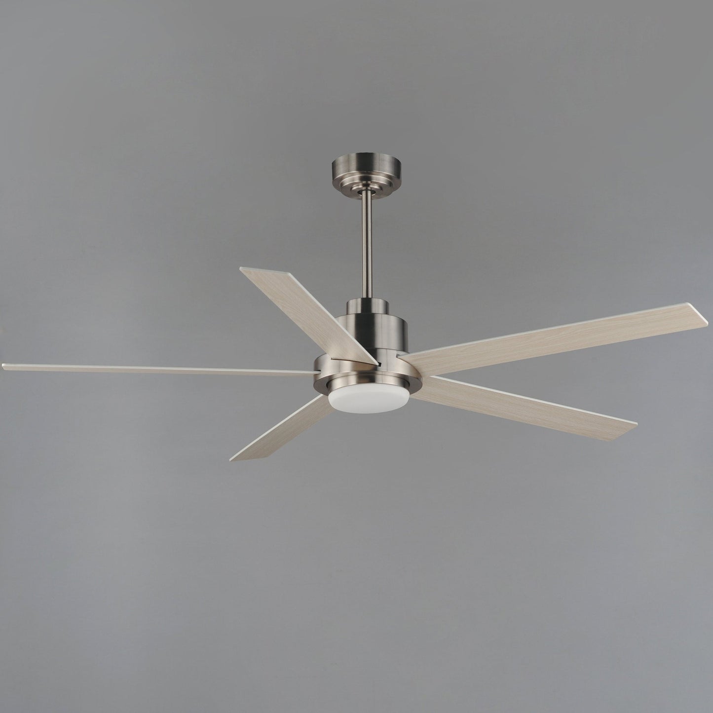 Daisy LED Ceiling Fan in Detail.