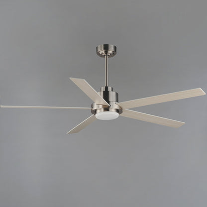Daisy LED Ceiling Fan in Detail.
