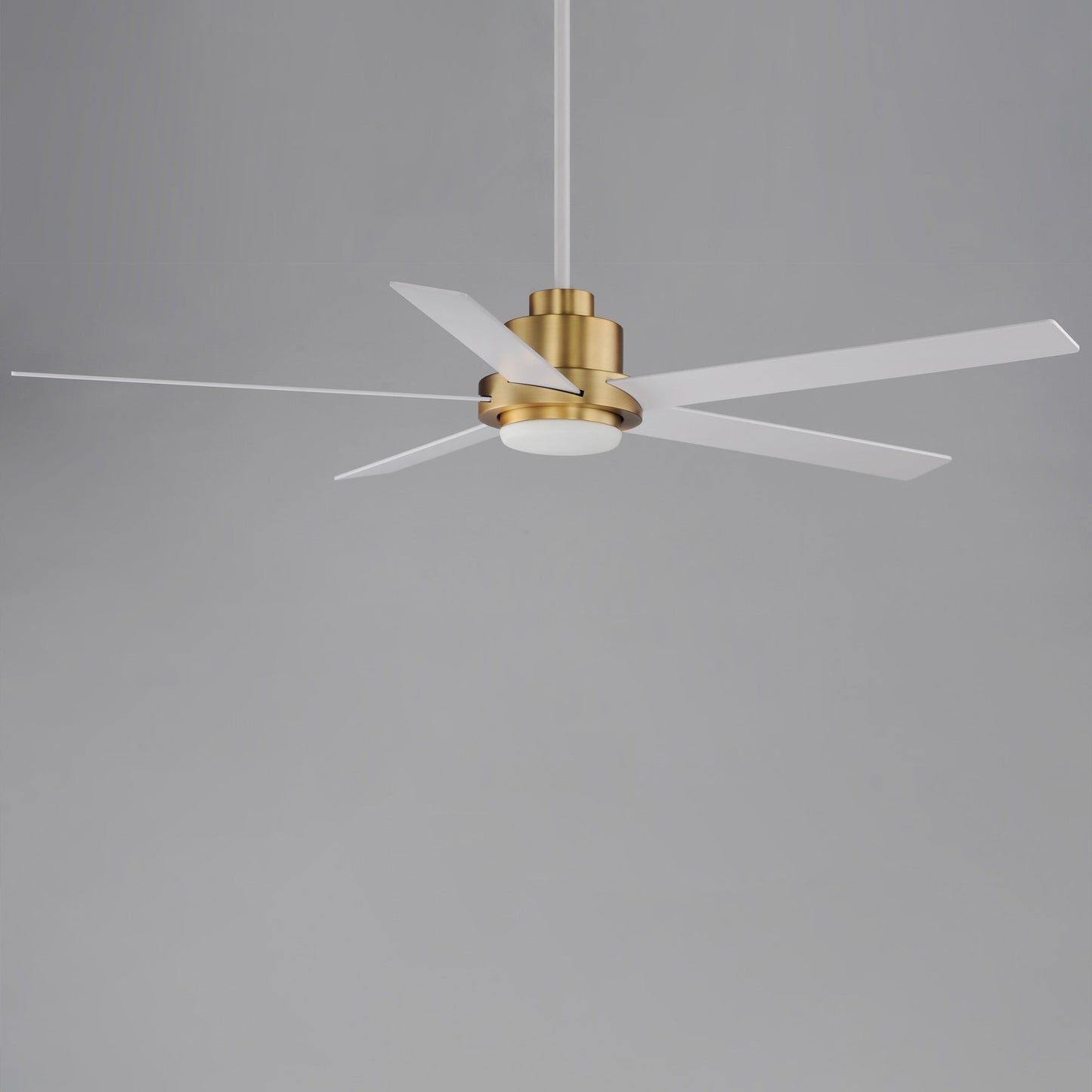 Daisy LED Ceiling Fan in Detail.