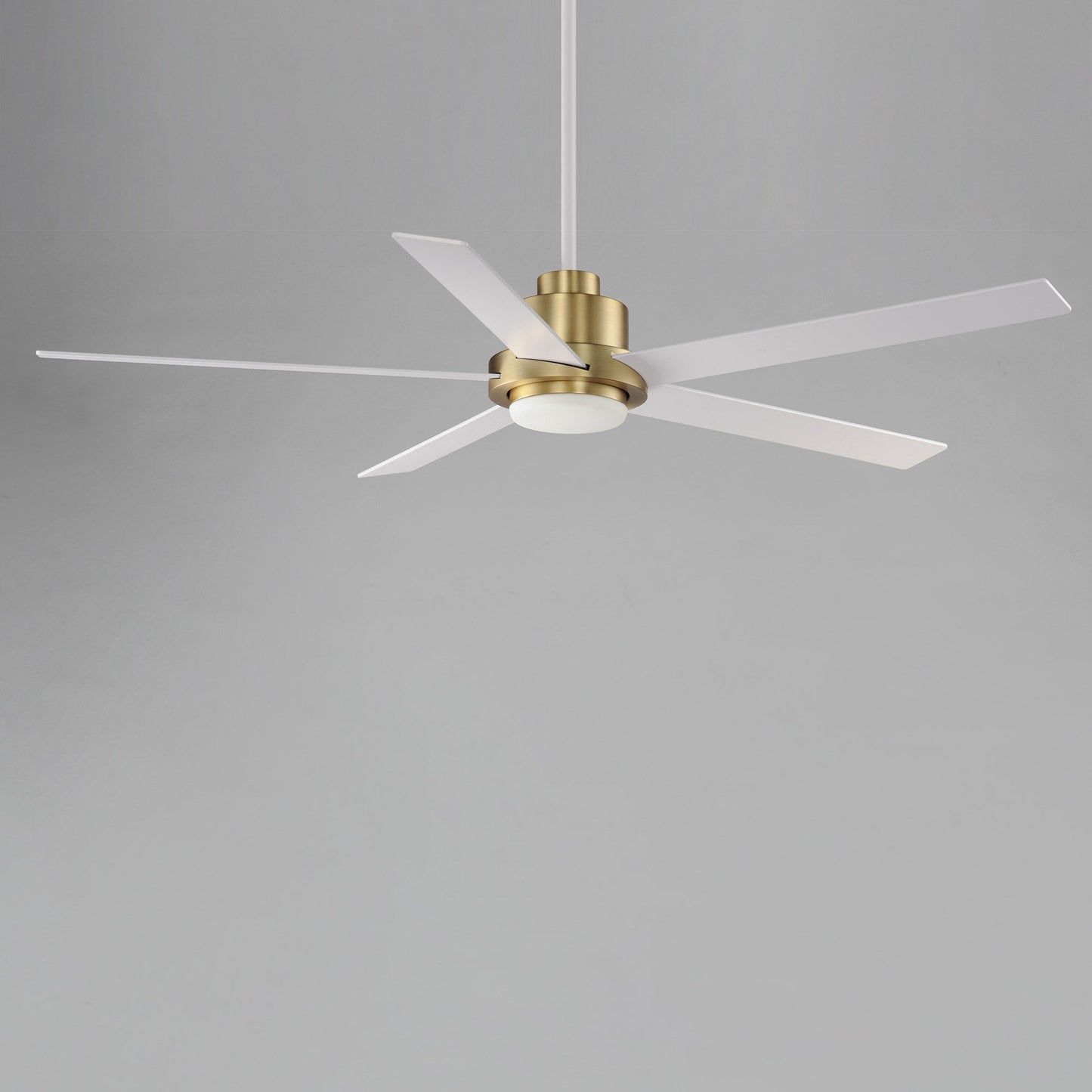 Daisy LED Ceiling Fan in Detail.