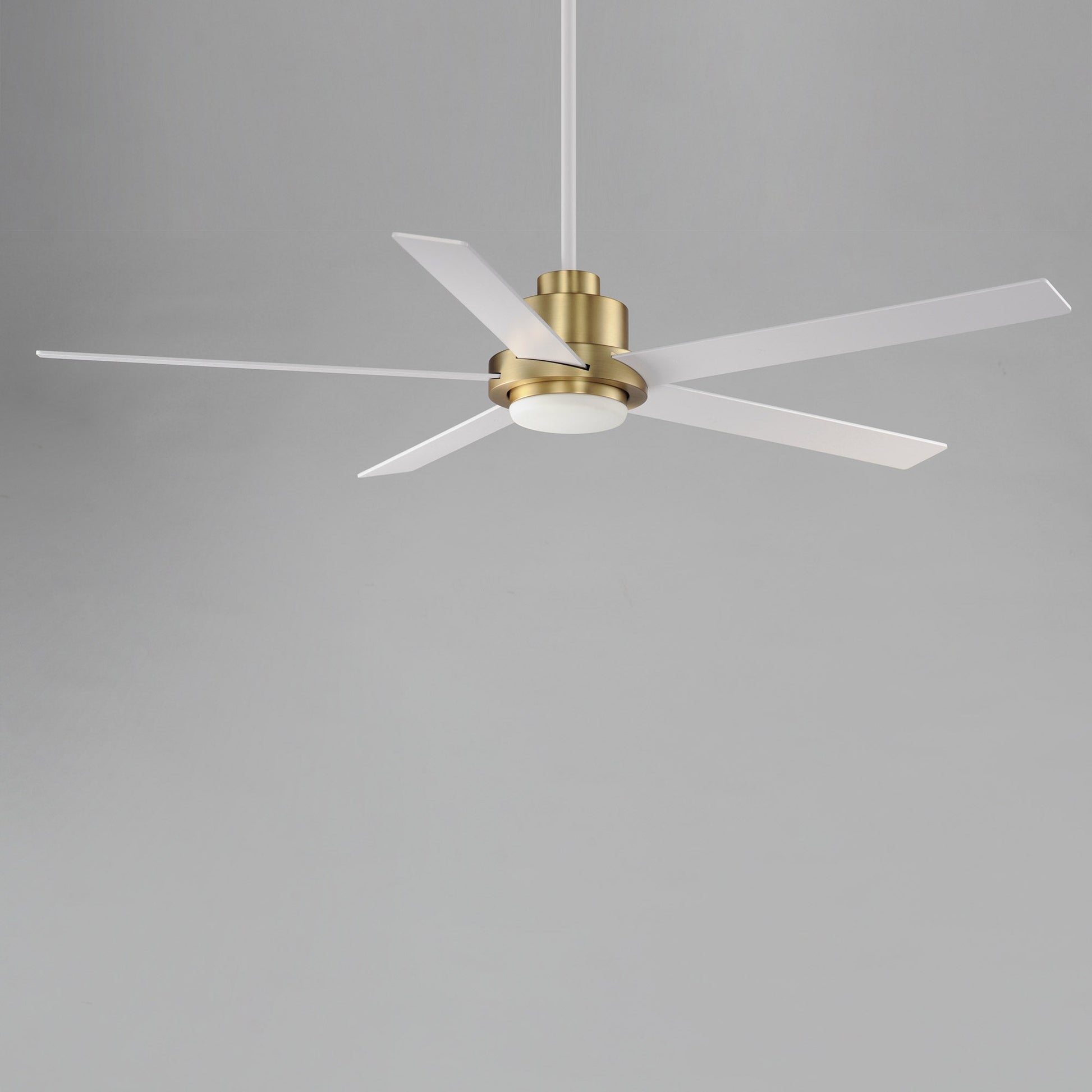 Daisy LED Ceiling Fan in Detail.
