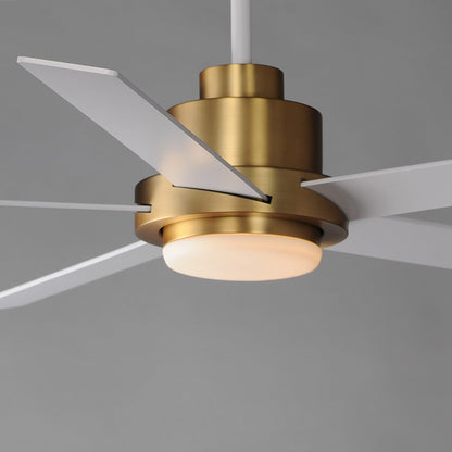 Daisy LED Ceiling Fan in Detail.