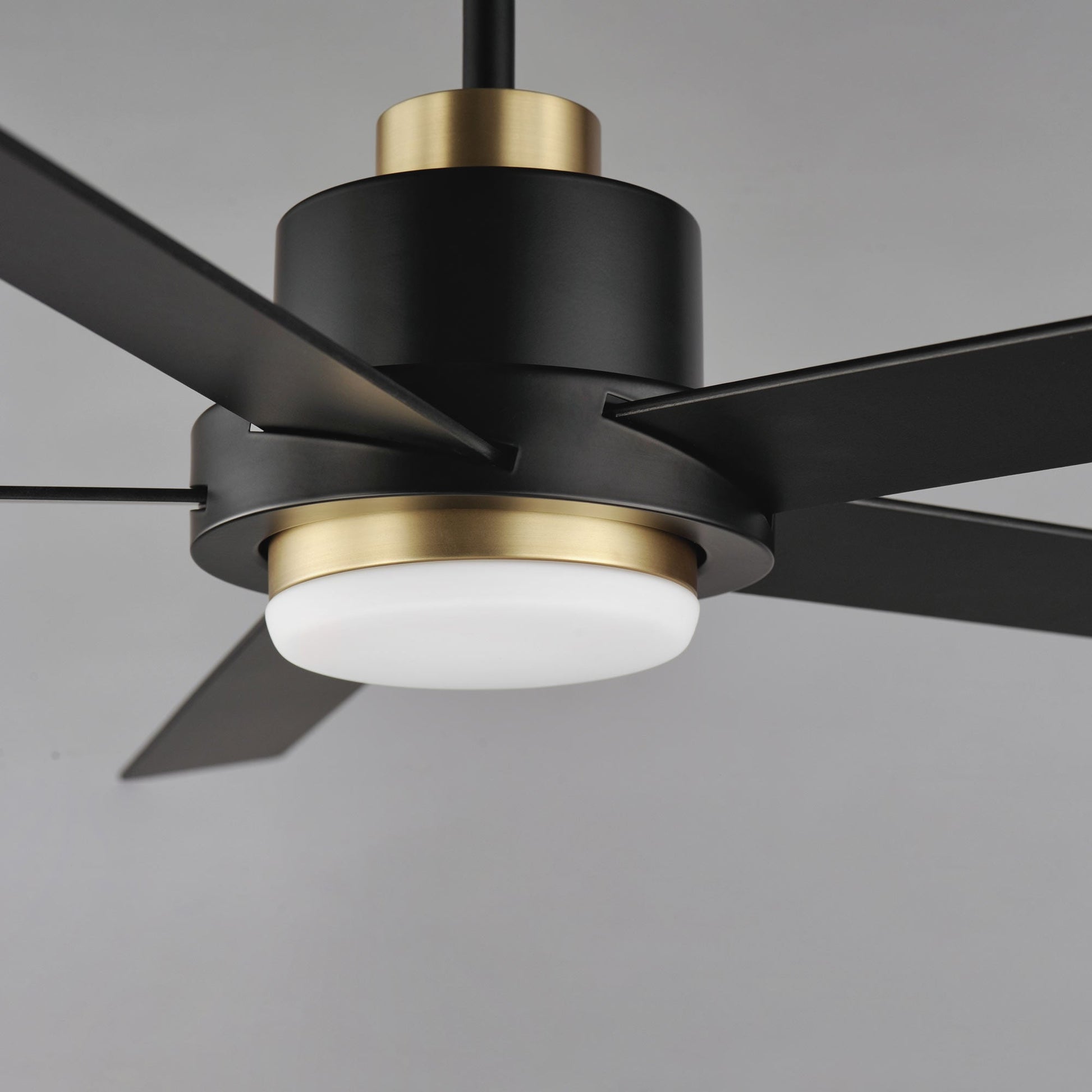Daisy LED Ceiling Fan in Detail.