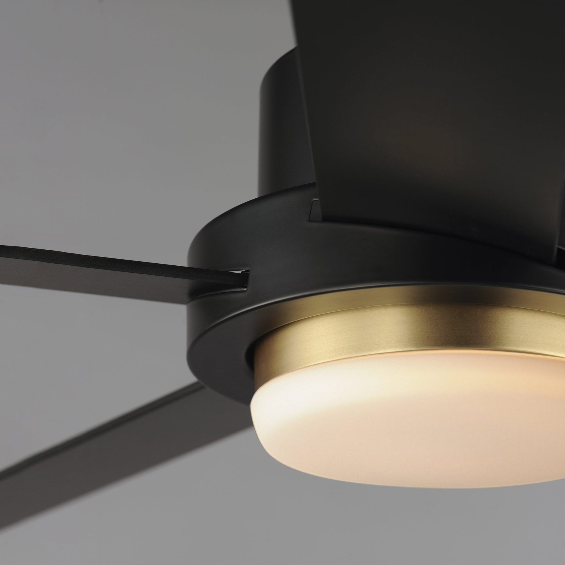 Daisy LED Ceiling Fan in Detail.