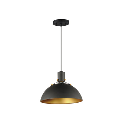 Dawn Pendant Light in Antique Brass/Black (Small).