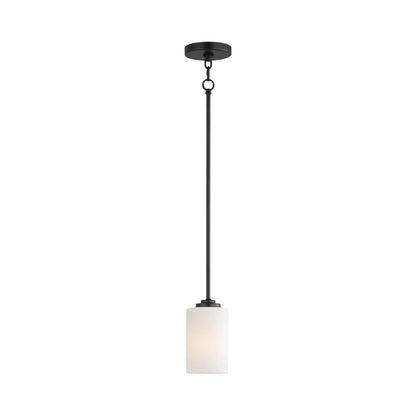 Deven Mini Pendant Light.
