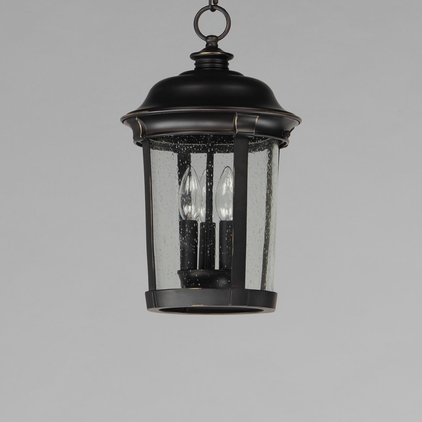 Dover Outdoor Pendant Light in Detail.