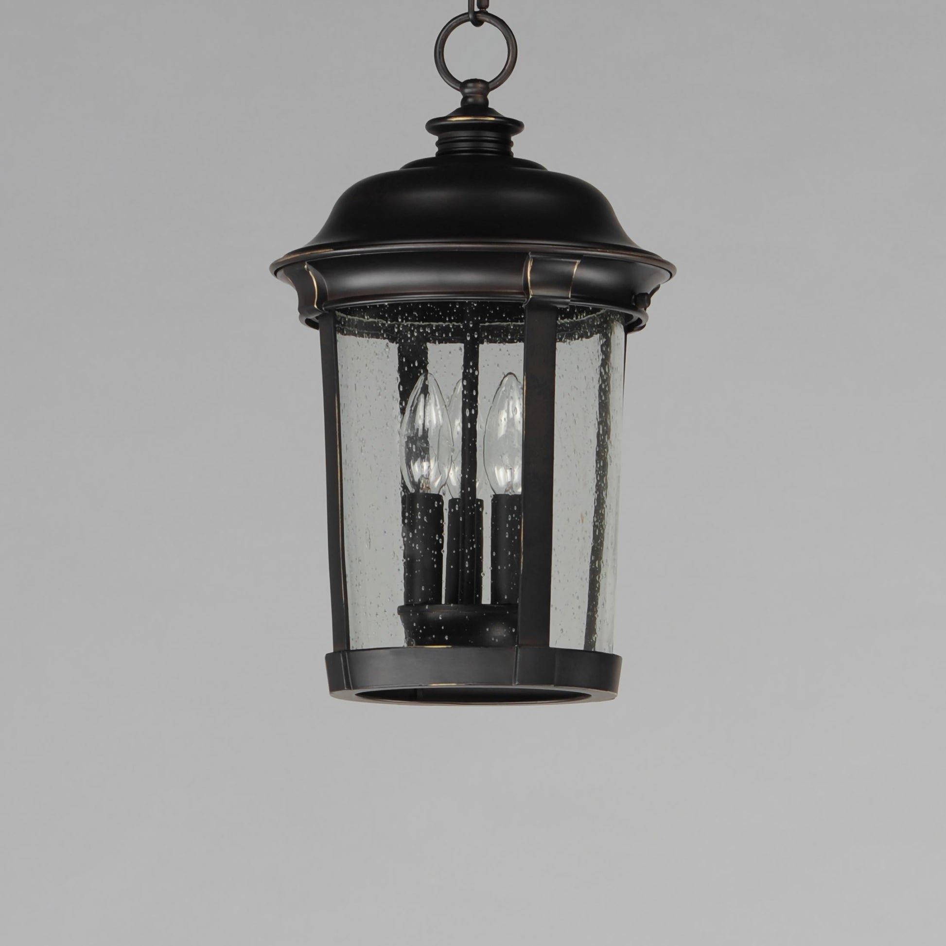 Dover Outdoor Pendant Light in Detail.