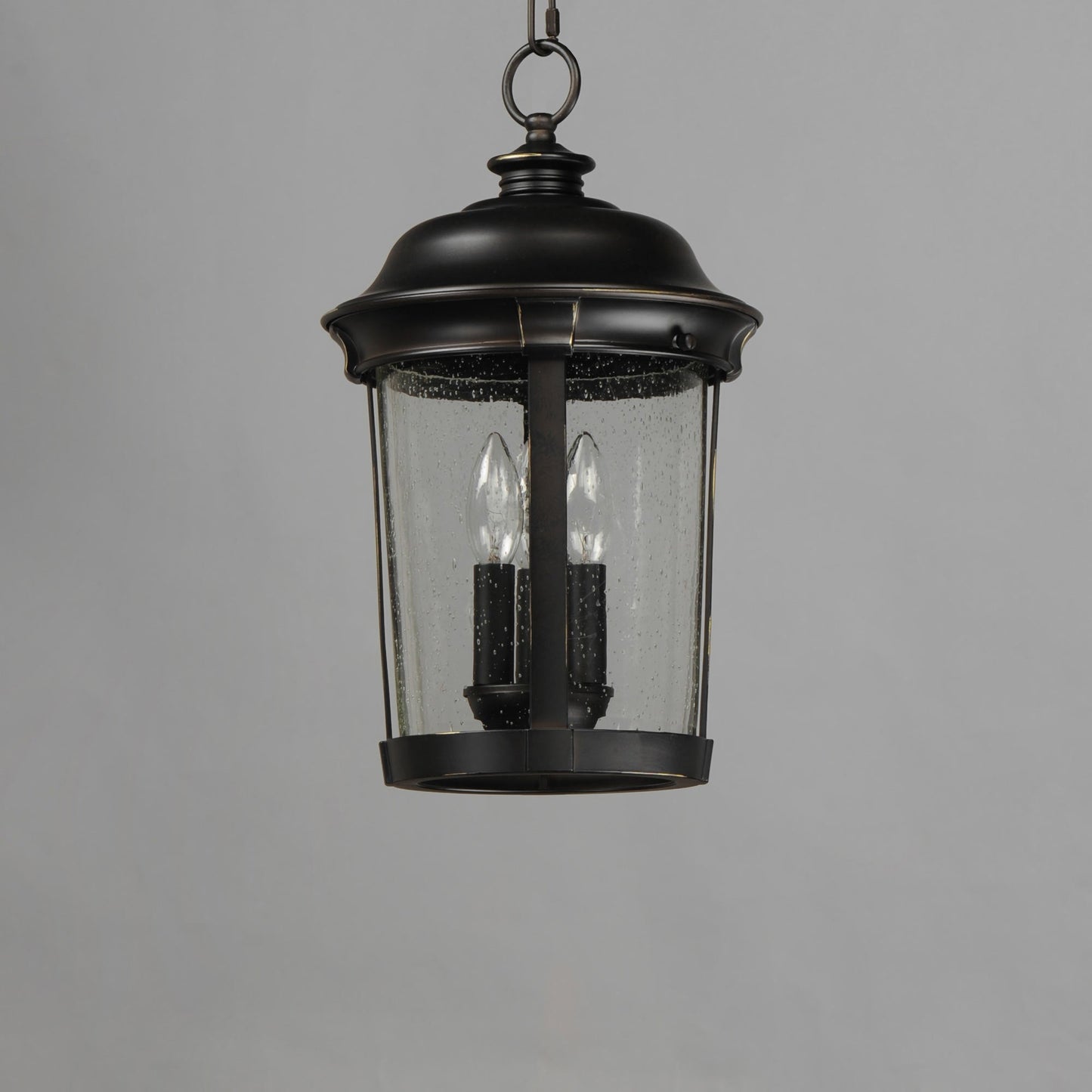 Dover Outdoor Pendant Light in Detail.