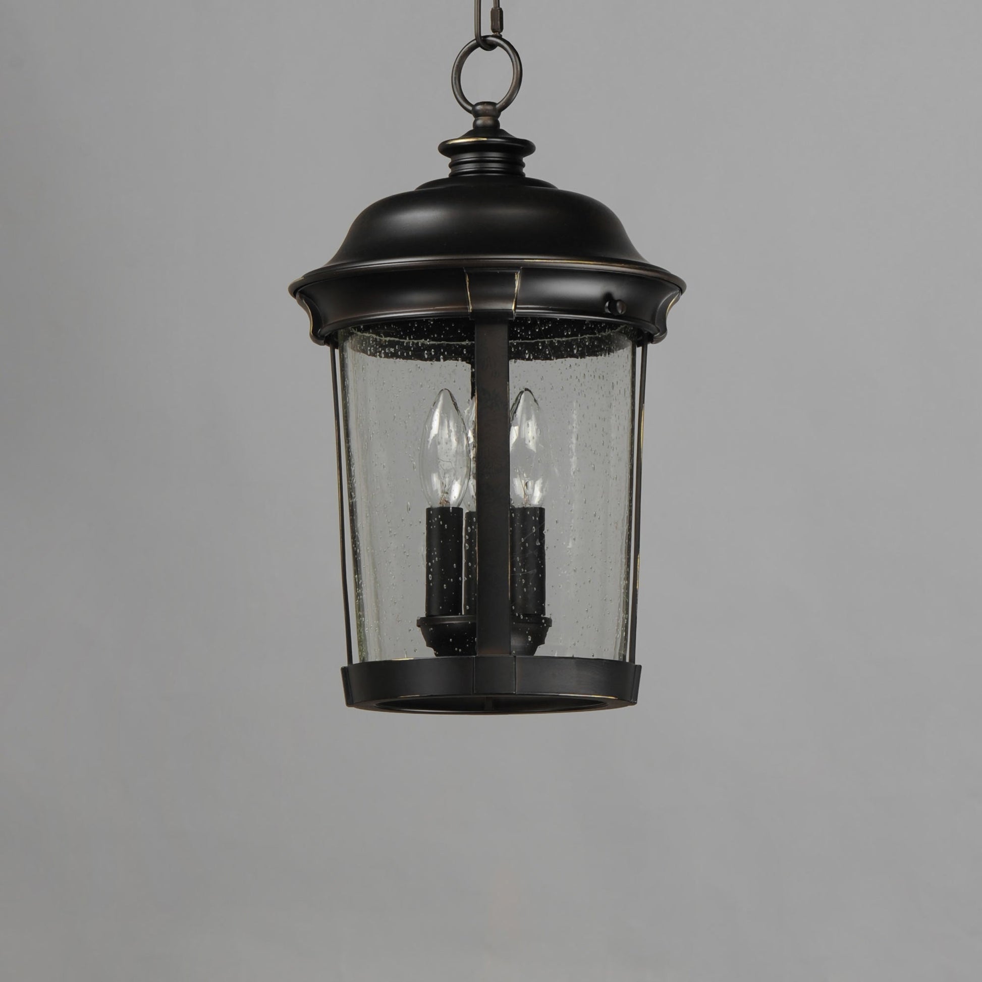 Dover Outdoor Pendant Light in Detail.