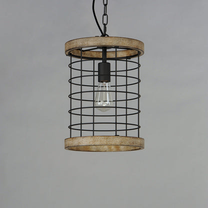 Homestead Pendant Light in Detail.