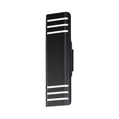 Lightray Outdoor LED Directional Wall Light in Black (20-Inch).