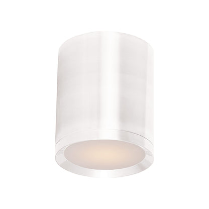 Lightray Outdoor LED Flush Mount Ceiling Light in White.
