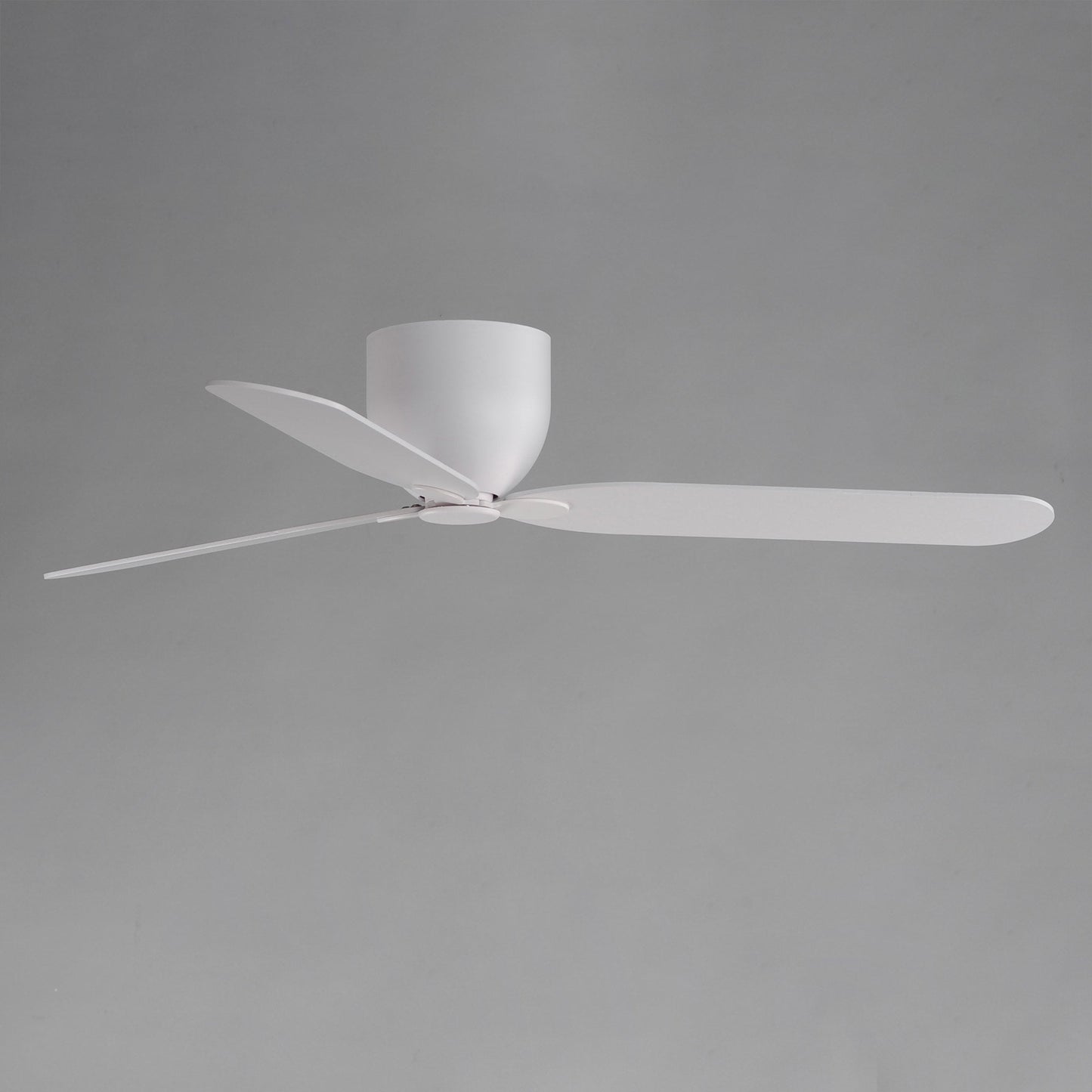 Lowell Ceiling Fan in Detail.