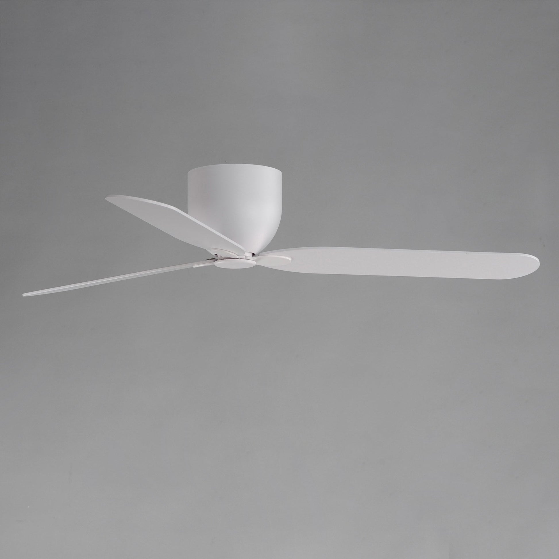 Lowell Ceiling Fan in Detail.