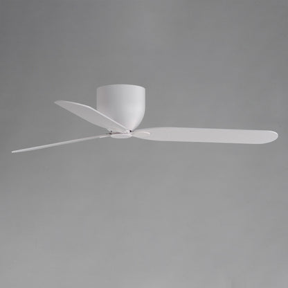 Lowell Ceiling Fan in Detail.