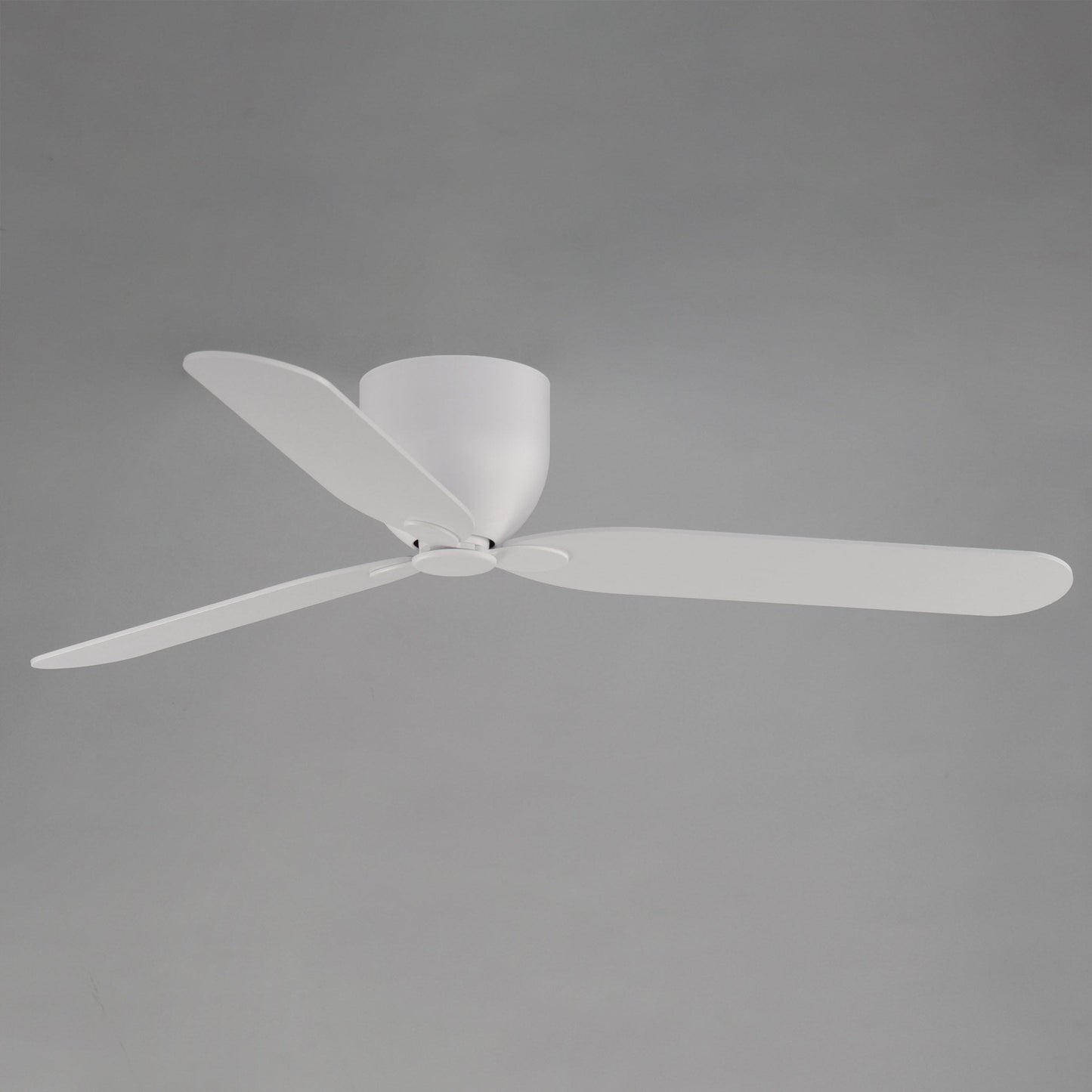 Lowell Ceiling Fan in Detail.