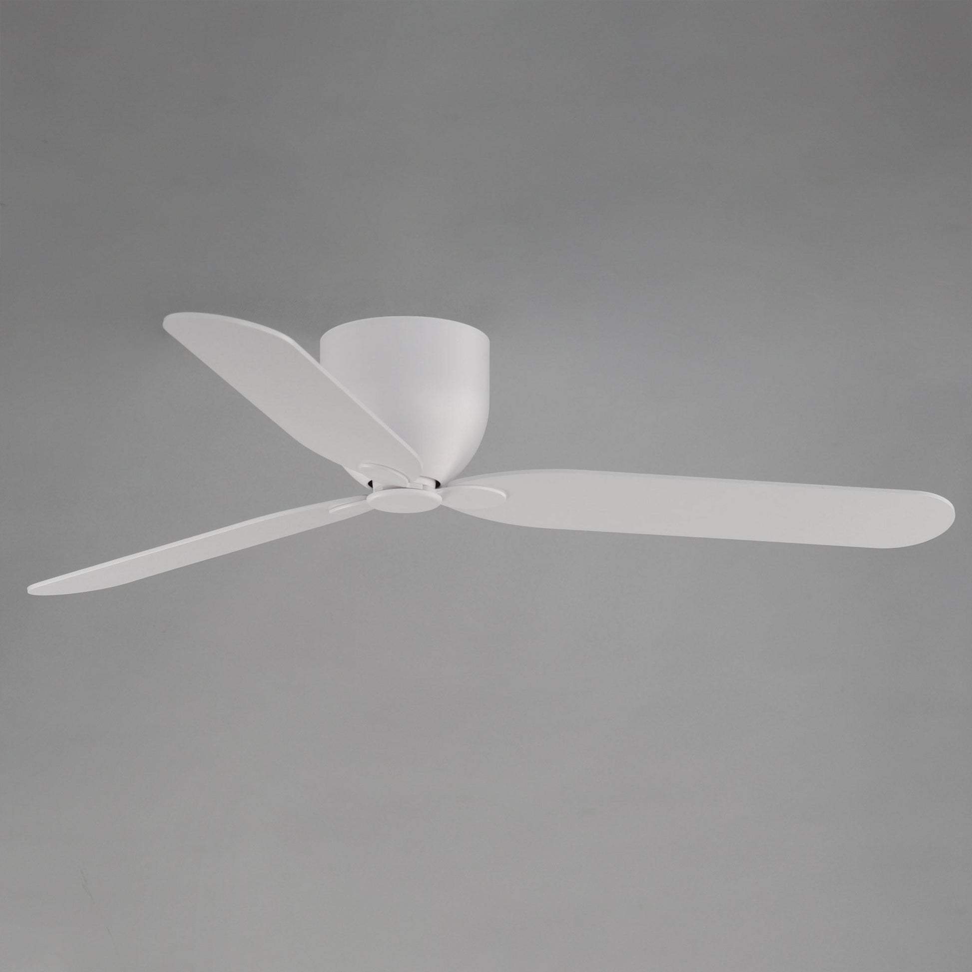 Lowell Ceiling Fan in Detail.