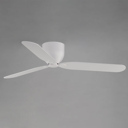 Lowell Ceiling Fan in Detail.