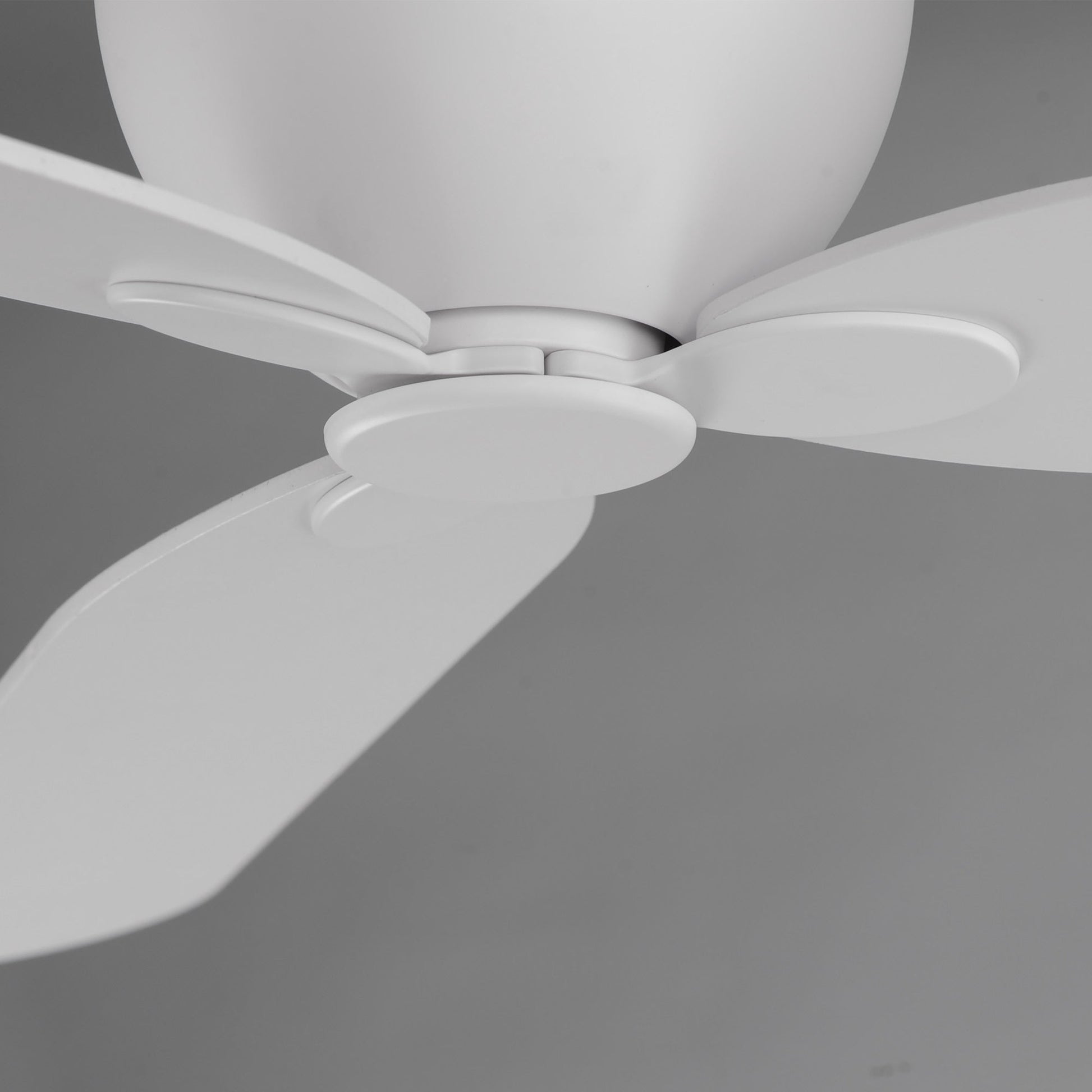 Lowell Ceiling Fan in Detail.
