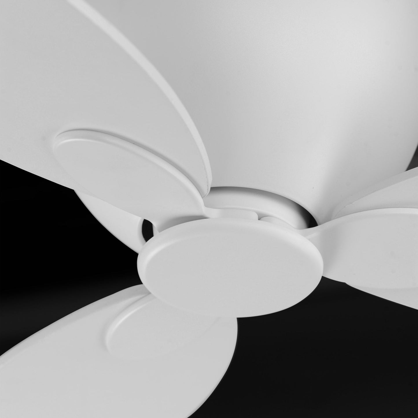 Lowell Ceiling Fan in Detail.