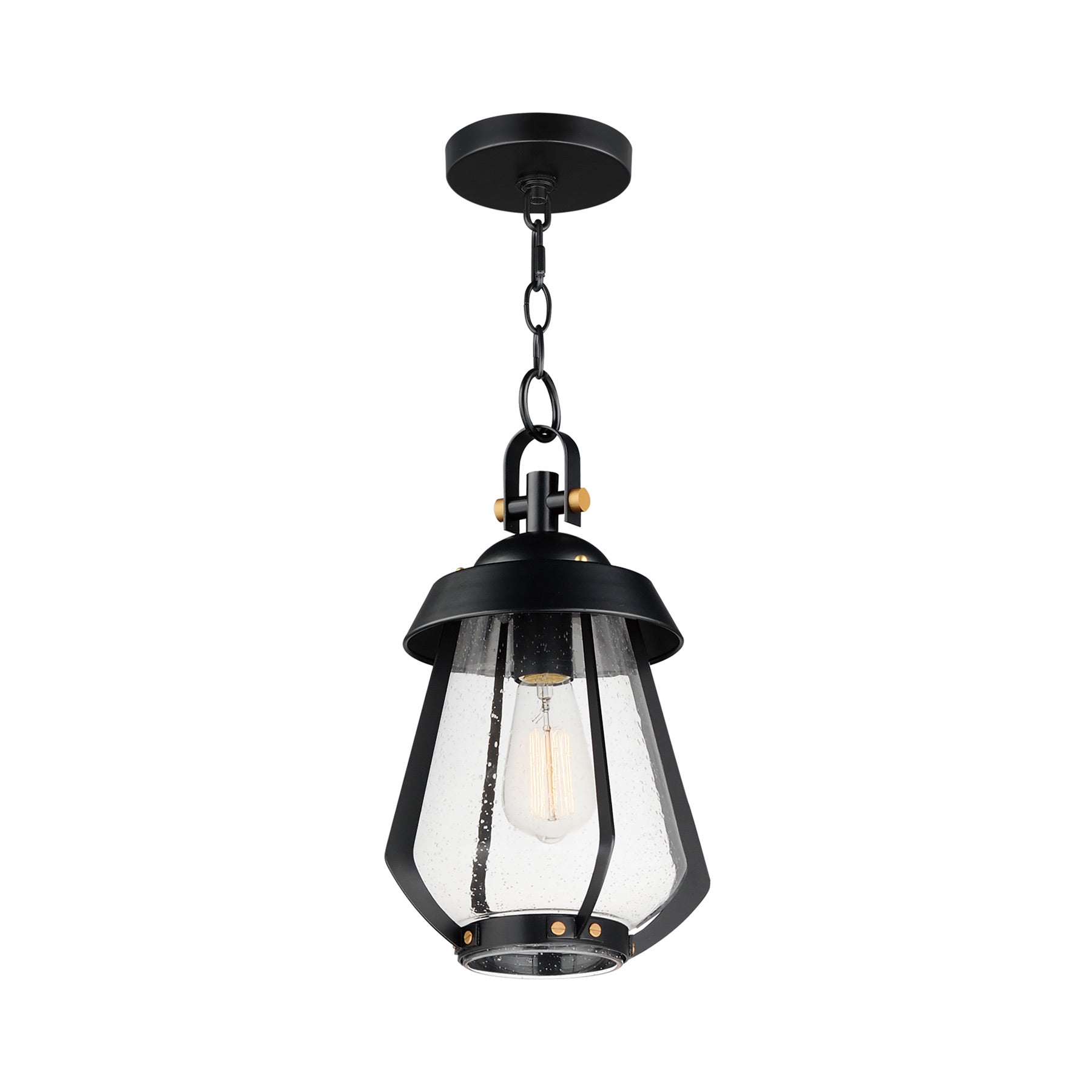 Mariner Outdoor Pendant Light (1-Light).