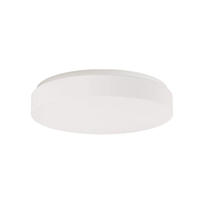 Mint LED Flush Mount Ceiling Light.