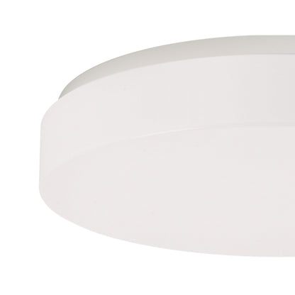 Mint LED Flush Mount Ceiling Light in Detail.