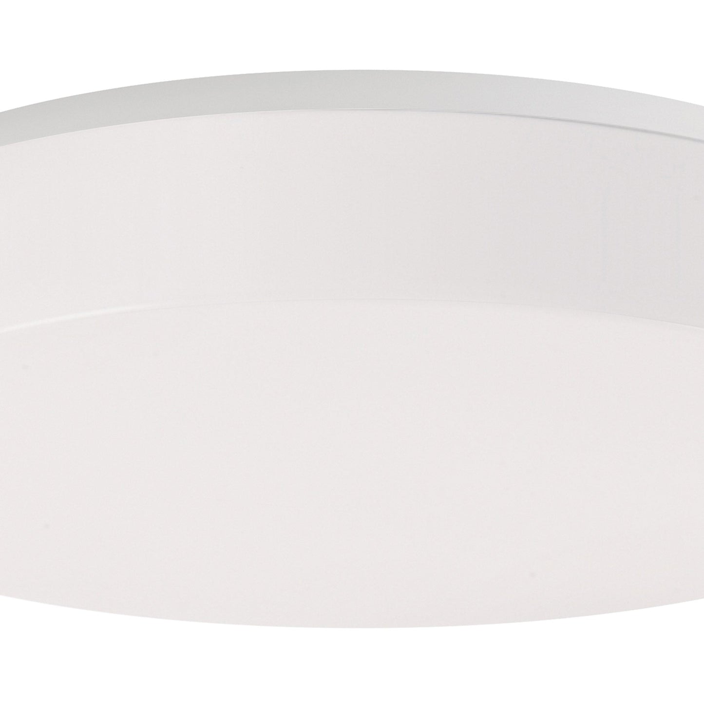 Mint LED Flush Mount Ceiling Light in Detail.