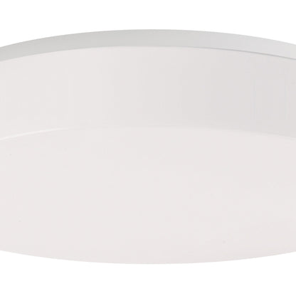 Mint LED Flush Mount Ceiling Light in Detail.