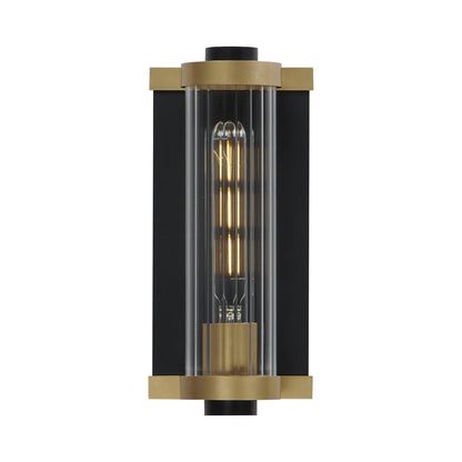 Opulent Outdoor Wall Light (11-Inch).