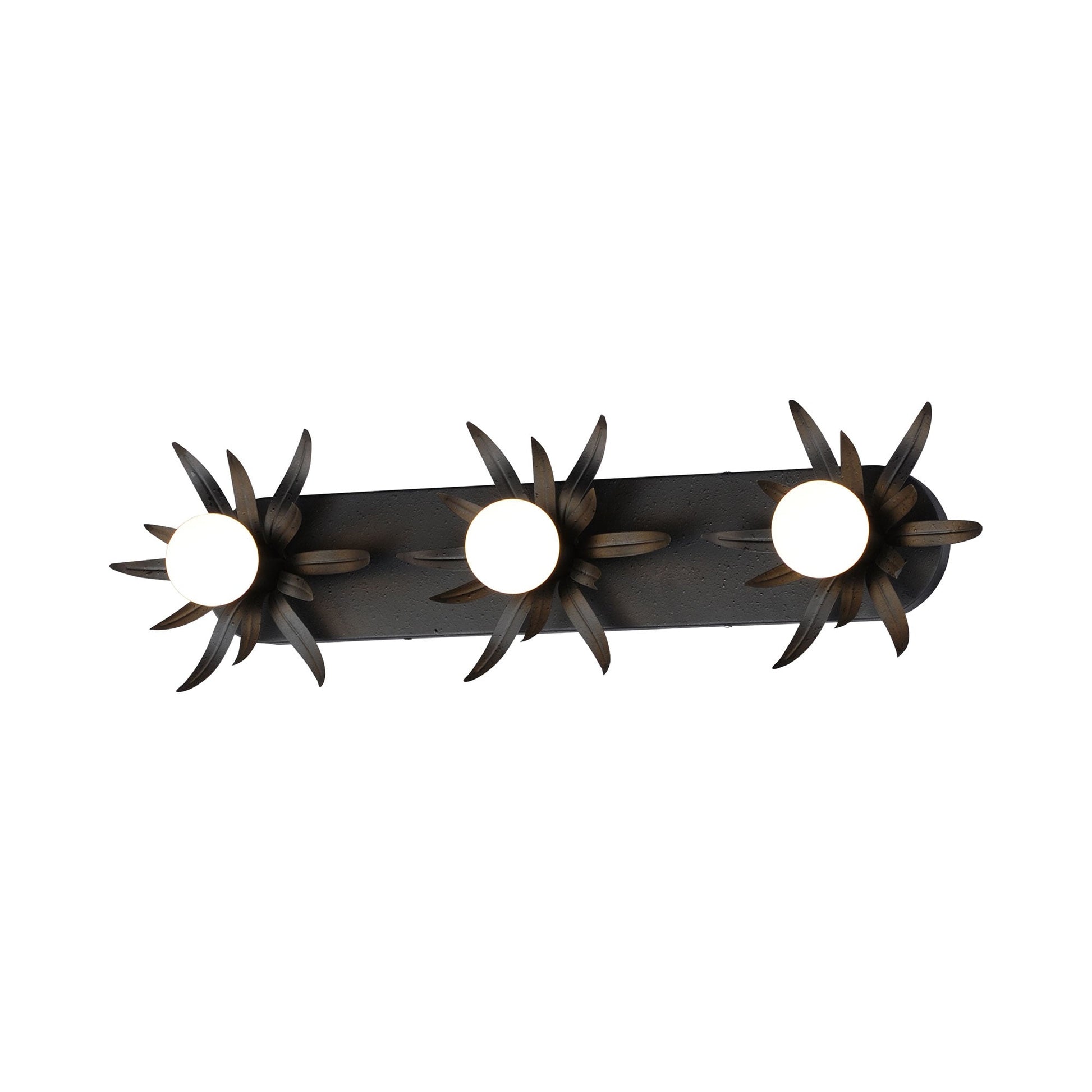 Paloma Bath Vanity Light in Anthracite (3-Light).