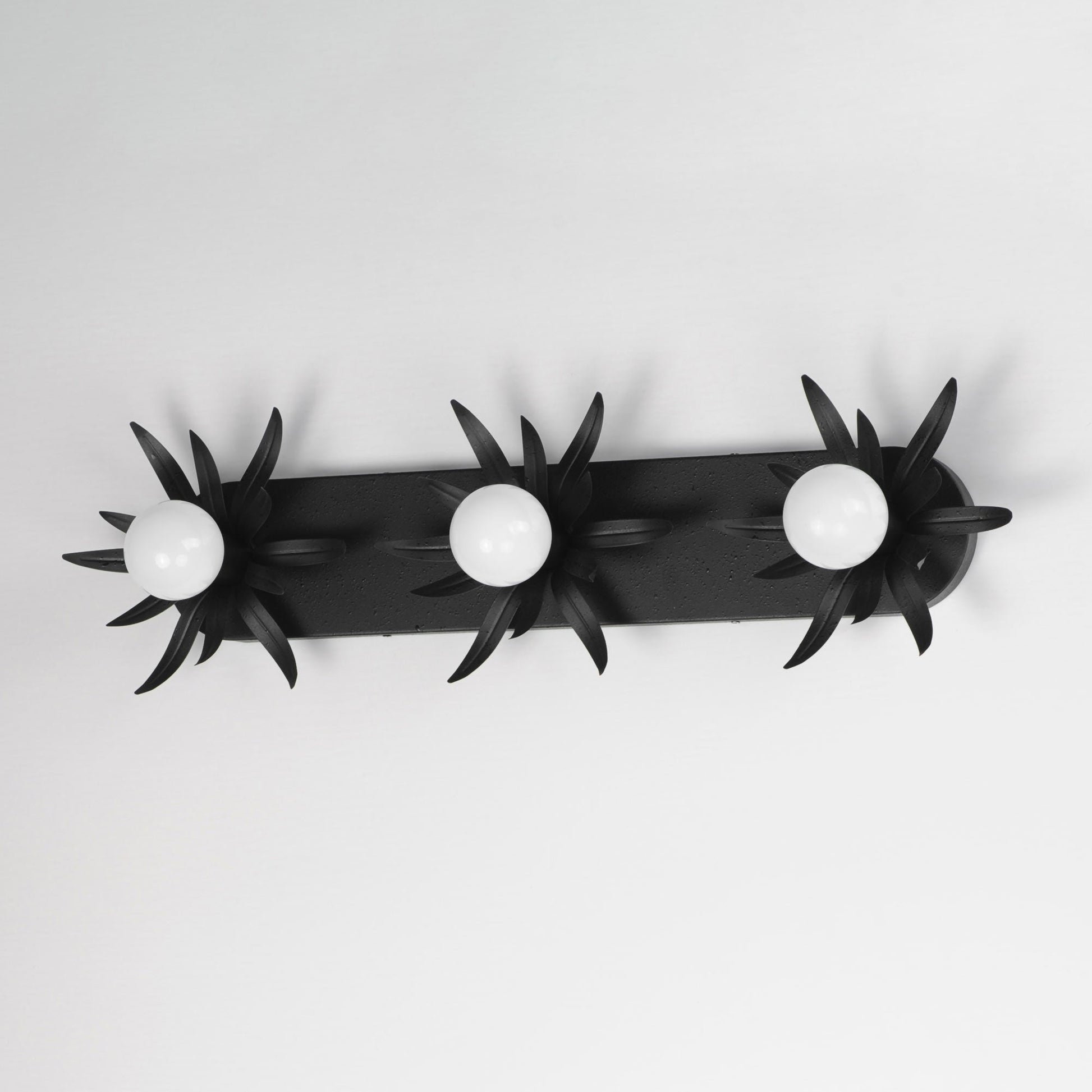 Paloma Bath Vanity Light in Detail.