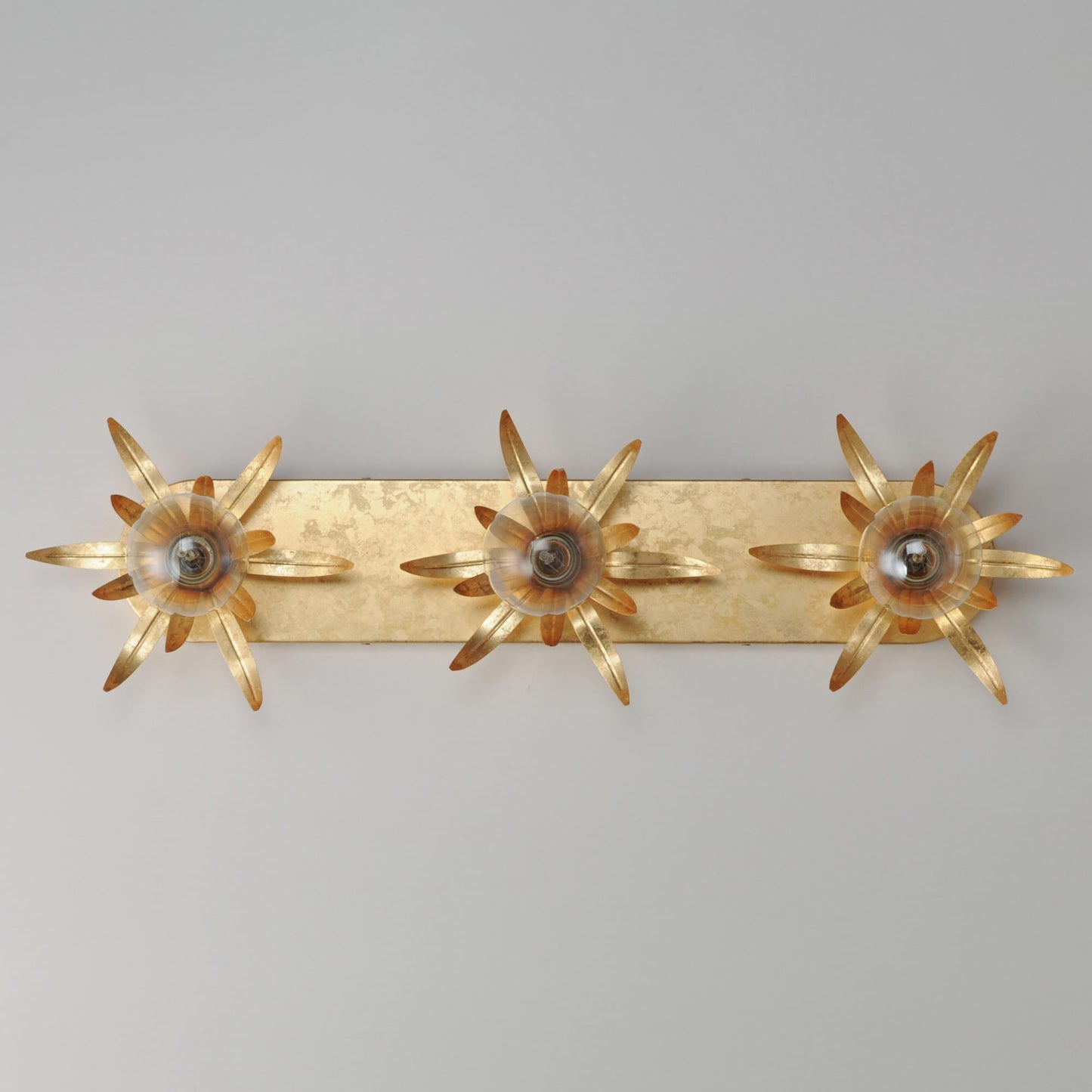 Paloma Bath Vanity Light in Detail.