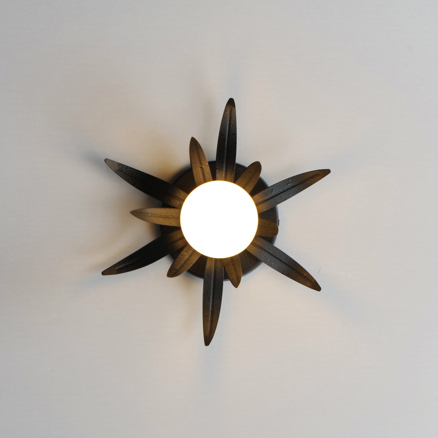 Paloma Bath Wall Light in Detail.